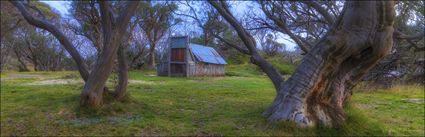 Wallace Hut - VIC (PBH4 00 13105)